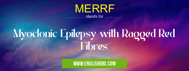 MERRF means Myoclonic Epilepsy with Ragged Red Fibres MERRF