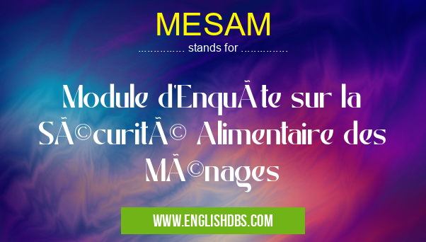 MESAM means Module d'Enquête sur la Sécurité Alimentaire des Ménages MESAM
