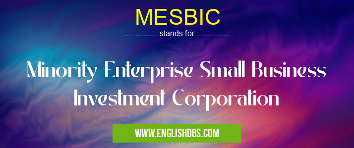 MESBIC means Minority Enterprise Small Business Investment Corporation MESBIC