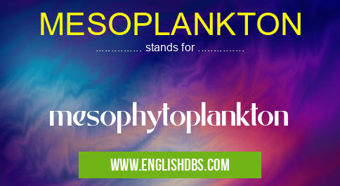 MESOPLANKTON means mesophytoplankton MESOPLANKTON
