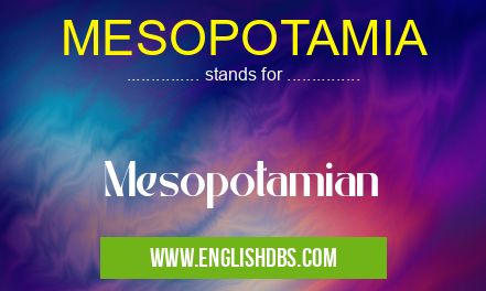 MESOPOTAMIA means Mesopotamian MESOPOTAMIA