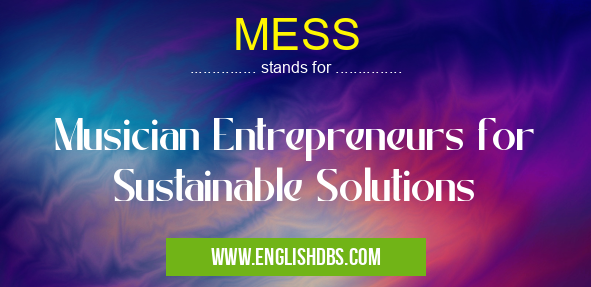 MESS means Musician Entrepreneurs for Sustainable Solutions MESS