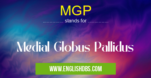 MGP means Medial Globus Pallidus MGP