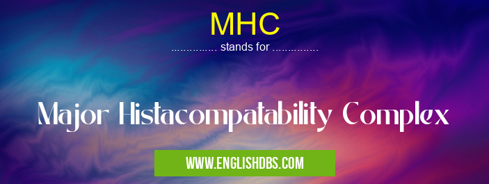 MHC means Major Histacompatability Complex MHC