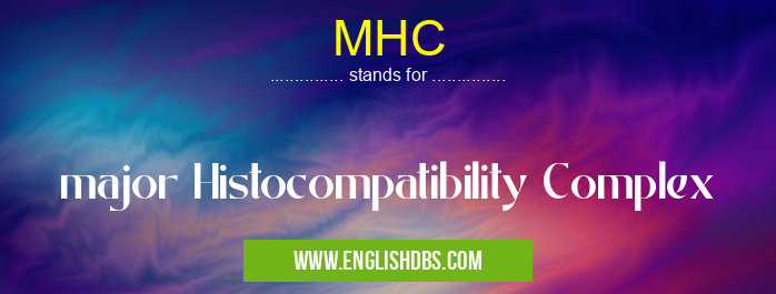 MHC means major Histocompatibility Complex MHC
