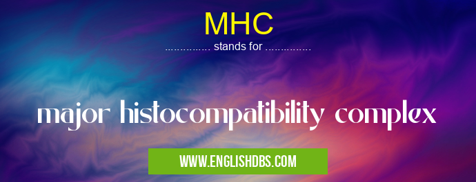 MHC means major histocompatibility complex MHC