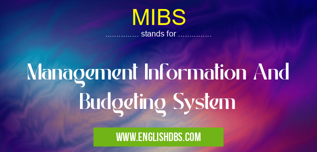 MIBS means Management Information And Budgeting System MIBS