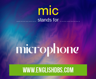 mic means microphone mic