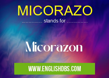 MICORAZO means Micorazon MICORAZO