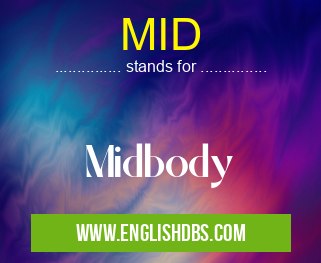 MID means Midbody MID
