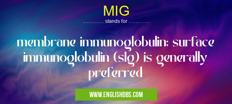 MIG means membrane immunoglobulin; surface immunoglobulin (sIg) is generally preferred MIG