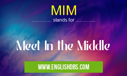 MIM means Meet In the Middle MIM
