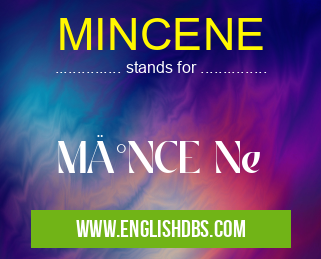 MINCENE means MİNCE Ne MINCENE