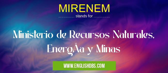MIRENEM means Ministerio de Recursos Naturales, EnergÃa y Minas MIRENEM