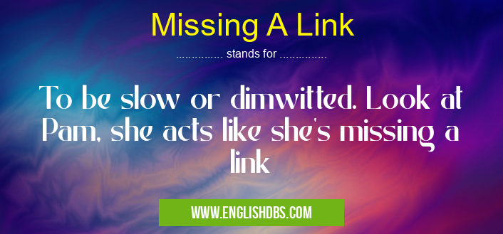 Missing A Link means To be slow or dimwitted. Look at Pam, she acts like she's missing a link Missing A Link