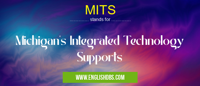 MITS means Michigan's Integrated Technology Supports MITS