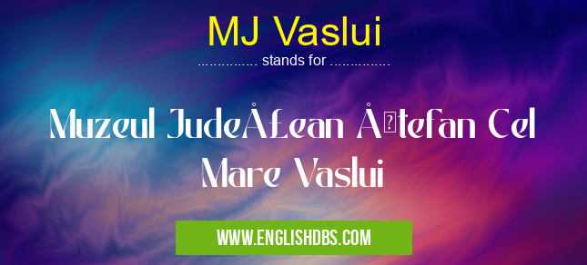 MJ Vaslui means Muzeul Judeţean Ştefan Cel Mare Vaslui MJ Vaslui