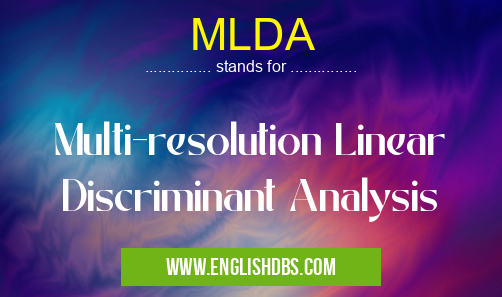 MLDA means Multi-resolution Linear Discriminant Analysis MLDA