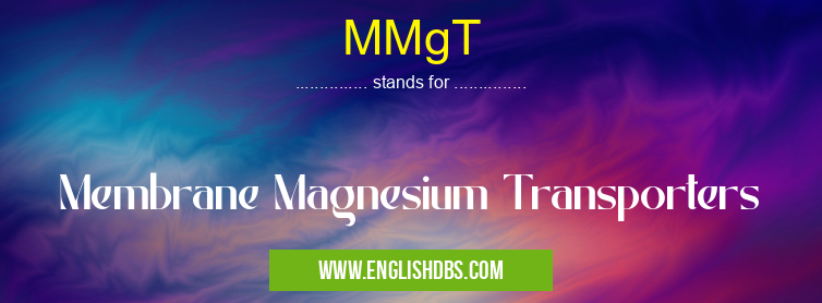MMgT means Membrane Magnesium Transporters MMgT