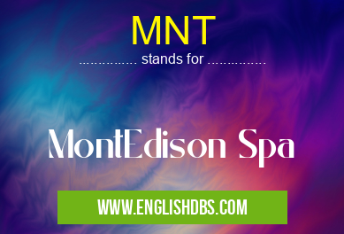 MNT means MontEdison Spa MNT