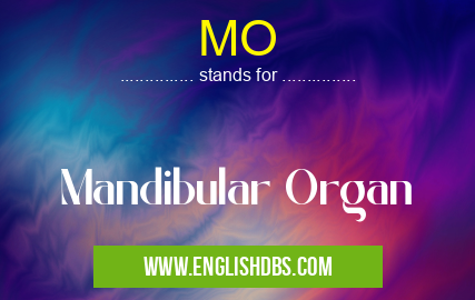 MO means Mandibular Organ MO