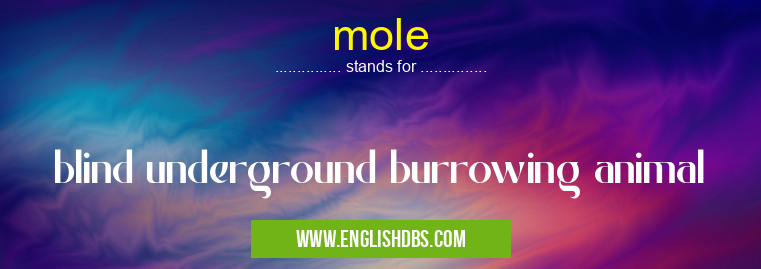 mole means blind underground burrowing animal mole