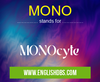 MONO means MONOcyte MONO