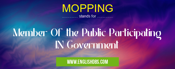 MOPPING means Member Of the Public Participating IN Government MOPPING