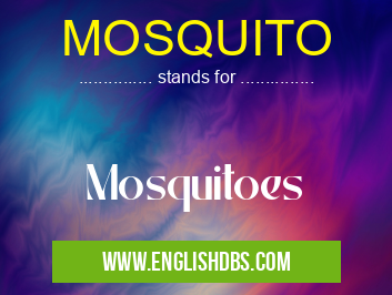 MOSQUITO means Mosquitoes MOSQUITO