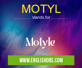 MOTYL means Motyle MOTYL