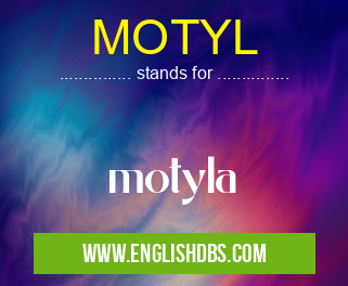 MOTYL means motyla MOTYL