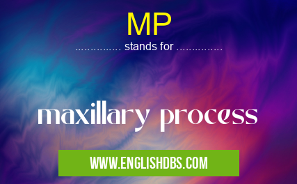 MP means maxillary process MP
