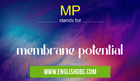 MP means membrane potential MP