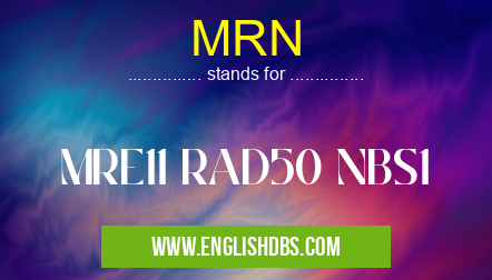 MRN means MRE11 RAD50 NBS1 MRN