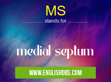 MS means medial septum MS