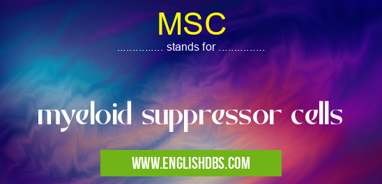 MSC means myeloid suppressor cells MSC