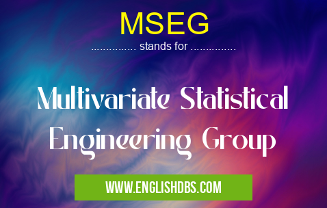MSEG means Multivariate Statistical Engineering Group MSEG