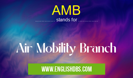 AMB means Air Mobility Branch AMB