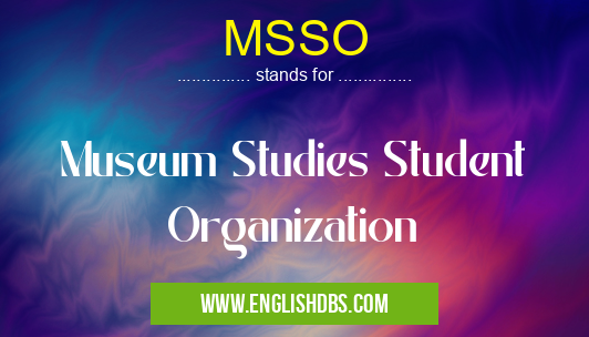 MSSO means Museum Studies Student Organization MSSO