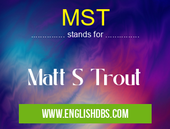 MST means Matt S Trout MST
