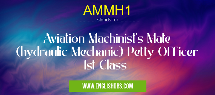 AMMH1 means Aviation Machinist's Mate (hydraulic Mechanic) Petty Officer 1st Class AMMH1