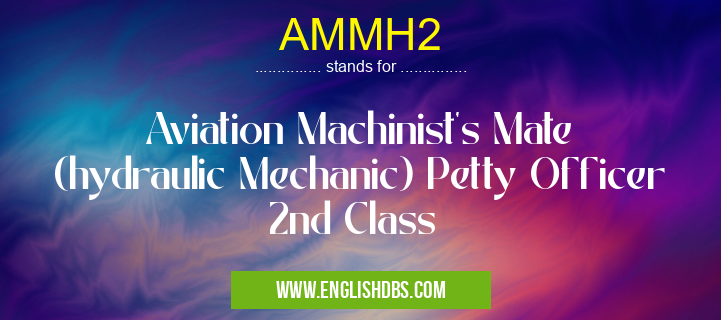 AMMH2 means Aviation Machinist's Mate (hydraulic Mechanic) Petty Officer 2nd Class AMMH2