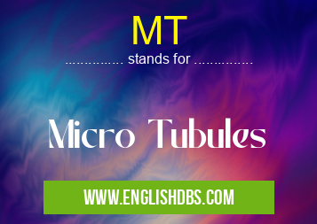 MT means Micro Tubules MT