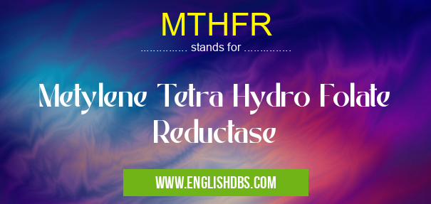 MTHFR means Metylene Tetra Hydro Folate Reductase MTHFR