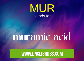 MUR means muramic acid MUR