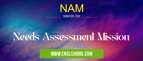 NAM means Needs Assessment Mission NAM