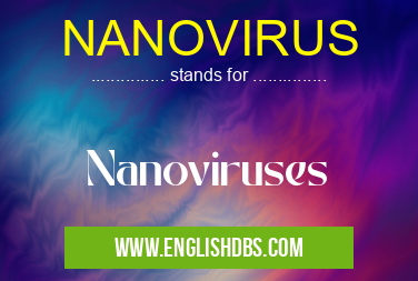 NANOVIRUS means Nanoviruses NANOVIRUS