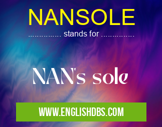 NANSOLE means NAN's sole NANSOLE