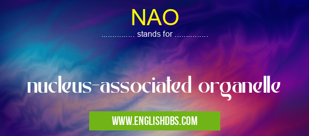 NAO means nucleus-associated organelle NAO