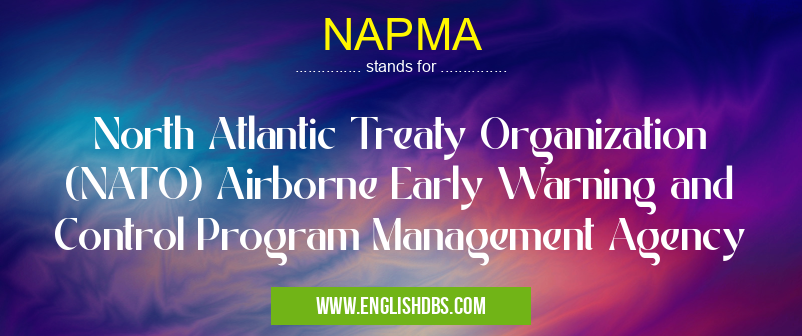 NAPMA means North Atlantic Treaty Organization (NATO) Airborne Early Warning and Control Program Management Agency NAPMA